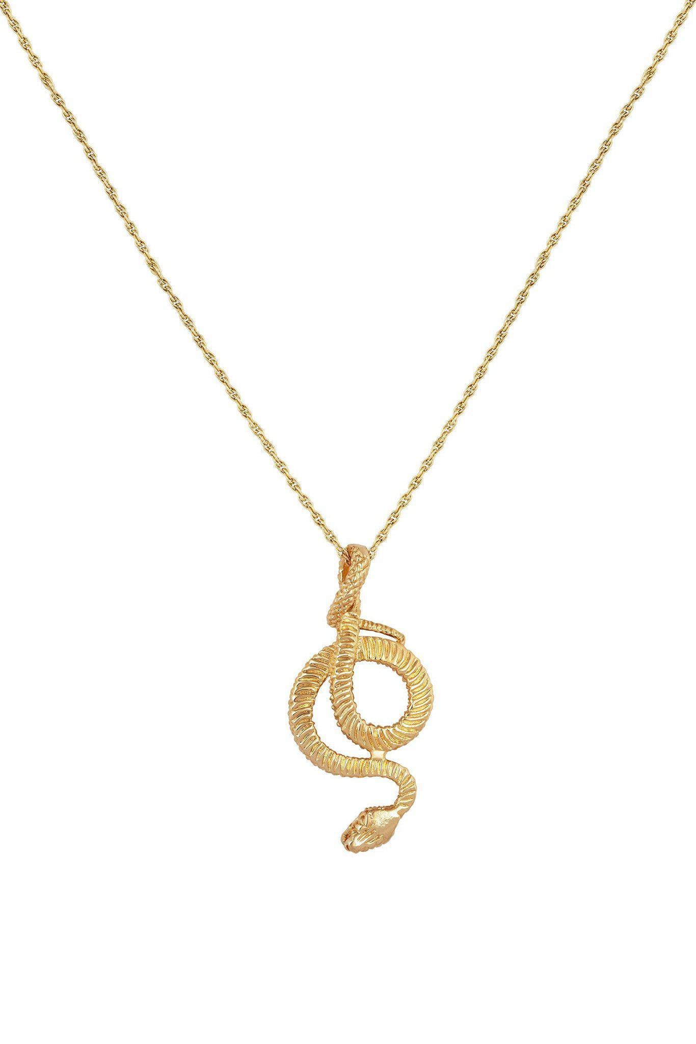 Snake Charmer necklace on white background